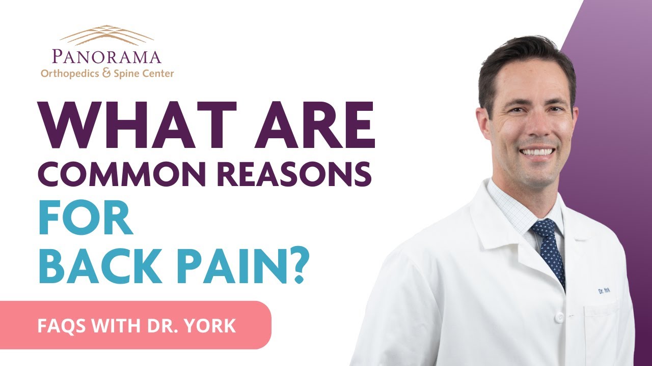 What are common reasons for back pain? - Dr. Philip York
